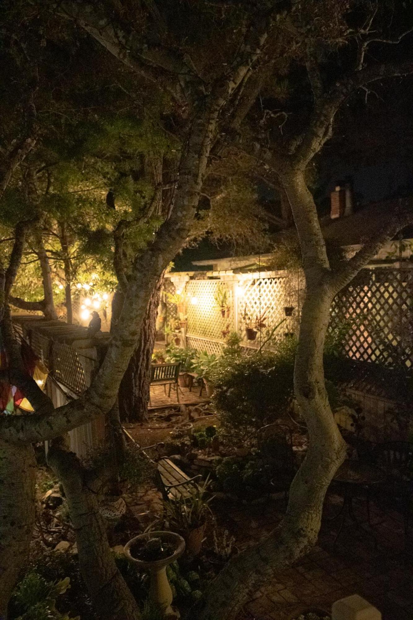 Carmel Garden Inn Экстерьер фото