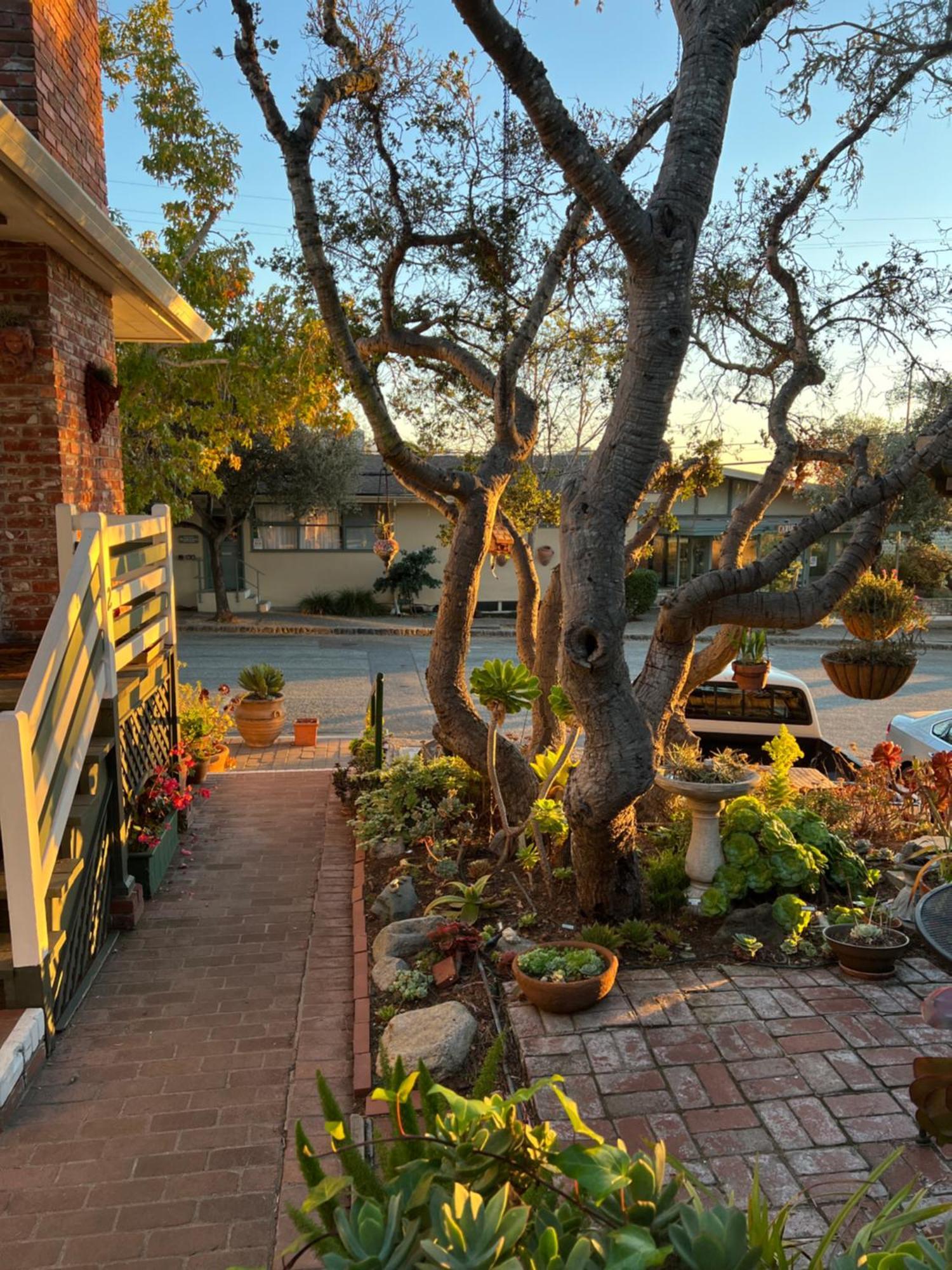 Carmel Garden Inn Экстерьер фото
